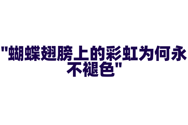 "蝴蝶翅膀上的彩虹为何永不褪色"
